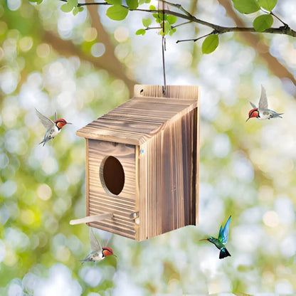 Vogelhaus Minimalistisch aus Naturholz 20 x 20 x 20 cm | Warmbraun Boxform | Für Innen und Außen Ohne Montage Nötig