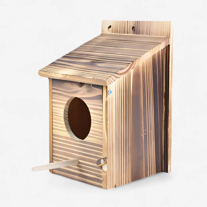 Vogelhaus Minimalistisch aus Naturholz 20 x 20 x 20 cm | Warmbraun Boxform | Für Innen und Außen Ohne Montage Nötig